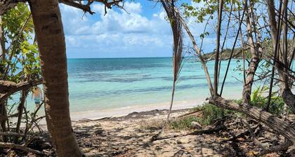 Sun Seekers Retreat-Beaches• Ferry• Cold A/C• Fast WiFi