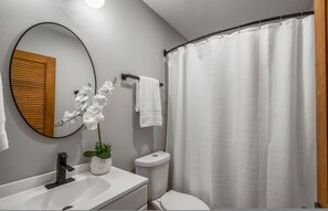 1 habitación 