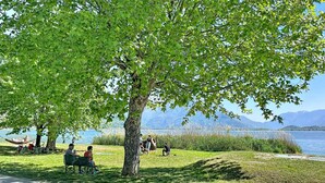 Ulkoalueet