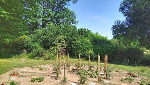 A garden with raised beds and plants, surrounded by a wooden fence and trees. - Coin Nature by Interhome (Montpinchon)