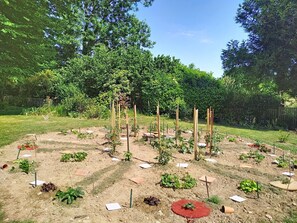 A garden with raised beds and plants, surrounded by a wooden fence and trees. - Coin Nature by Interhome (Montpinchon)