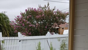 A covered patio with a white bench, colorful cushions, and a garden with various plants and a white fence in the background. - Coastal Grevillea Studio Retreat ,a place to relax or enjoy the outdoors (Ettalong Beach)