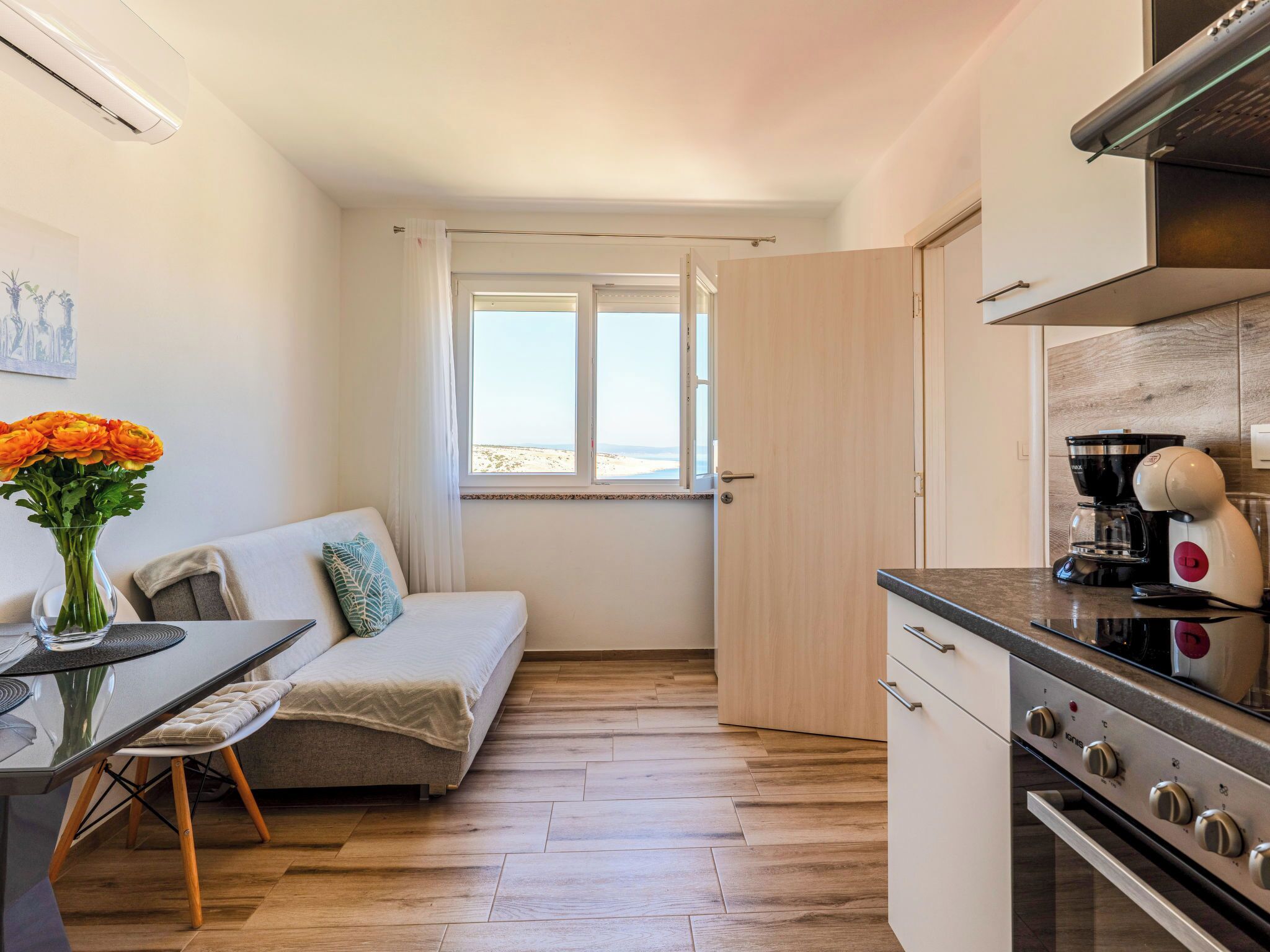 Fridge, oven, dishwasher, cookware/dishes/utensils