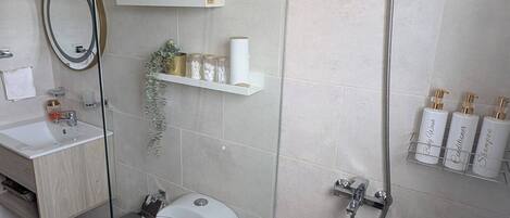 A modern bathroom with a glass shower enclosure, a toilet, a sink, and a mirror.