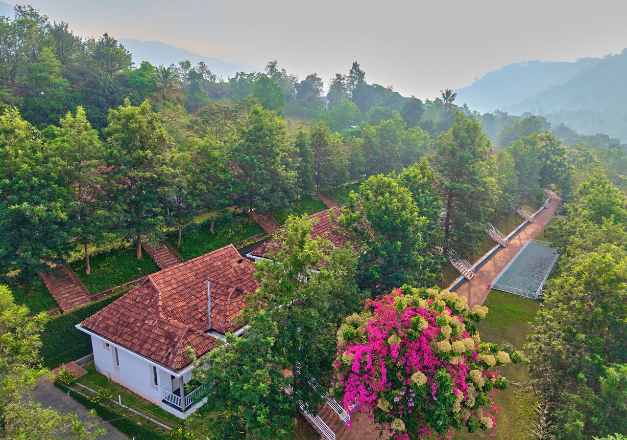 A house with a red roof, surrounded by lush greenery and a pink flowering tree.