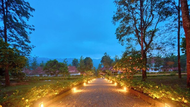 A paved pathway lined with trees and illuminated by small lights, leading towards a distant building. - Mistaura Home By Voye Homes (Udumbanchola)