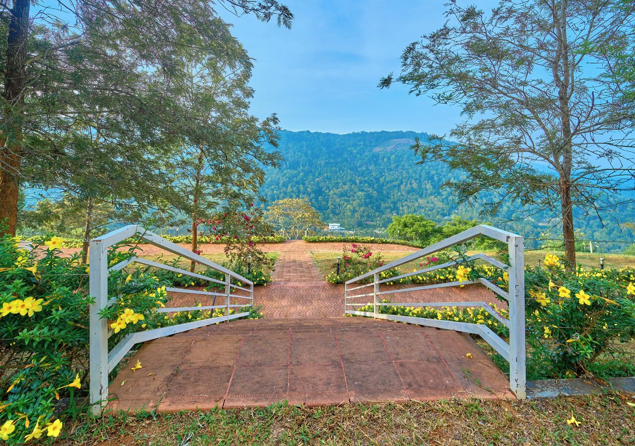 Mountain view
