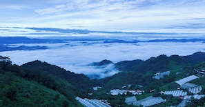 M1 | Aerial view
