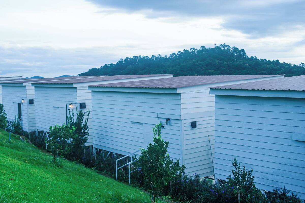 Fileira de casas móveis brancas, com um declive gramado e árvores ao fundo.