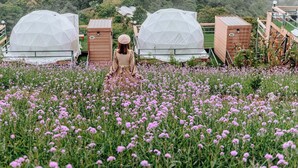 Een vrouw in een bloemenveld, met geodetische koepelstructuren op de achtergrond.