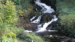 A waterfall cascading over rocks surrounded by dense greenery. - Cross Winds (Lancaster)