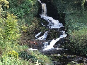 A waterfall cascading over rocks surrounded by dense greenery. - Cross Winds (Lancaster)