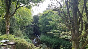 A wooden deck with a bench, a small waterfall, and dense greenery. - Cross Winds (Lancaster)