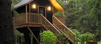 Forest Getaway