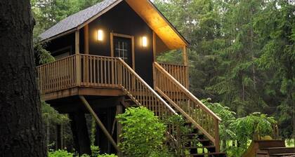 Forest Getaway