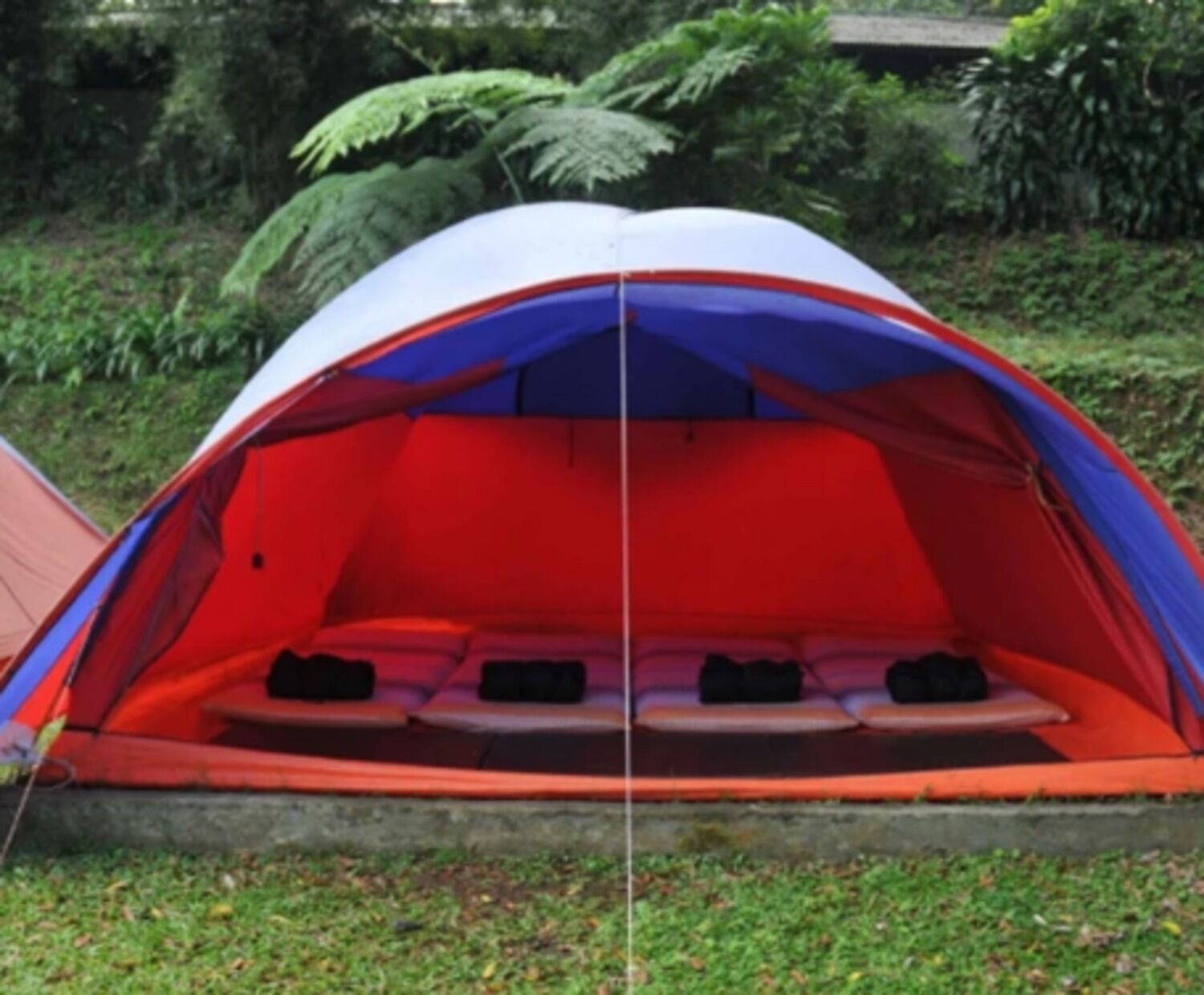 Tent | Kawasan hartanah