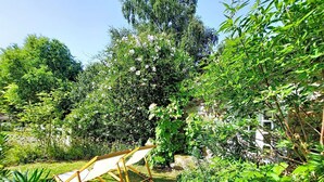 A garden with a wooden swing, dense foliage, and a stone wall. - La Dolce Vita Brezhoneg by Interhome (Tréméven)