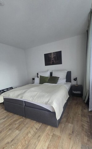 Iron/ironing board, internet, bed sheets - Fewo Alpenblick Rickenbach Dogs welcome with terrace (Rickenbach)