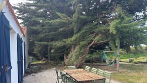 A wooden table with chairs, a gravel path, a blue building, and a large tree.