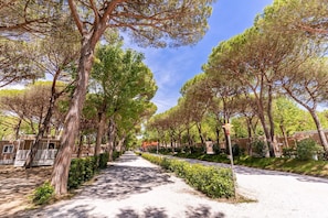Property grounds - Tenuta Primero Grado Family Collection (Grado)