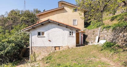 Room-a Yurt Among Olive Trees and the se