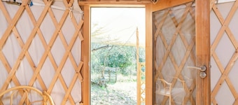 Room-a Yurt Among Olive Trees and the se