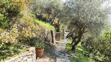 Zimmer, 1 Schlafzimmer, Raucher | Garten