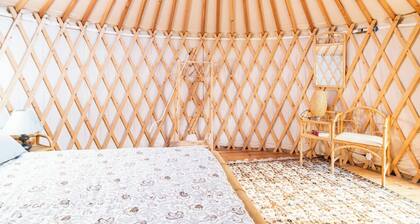 Room-a Yurt Among Olive Trees and the se