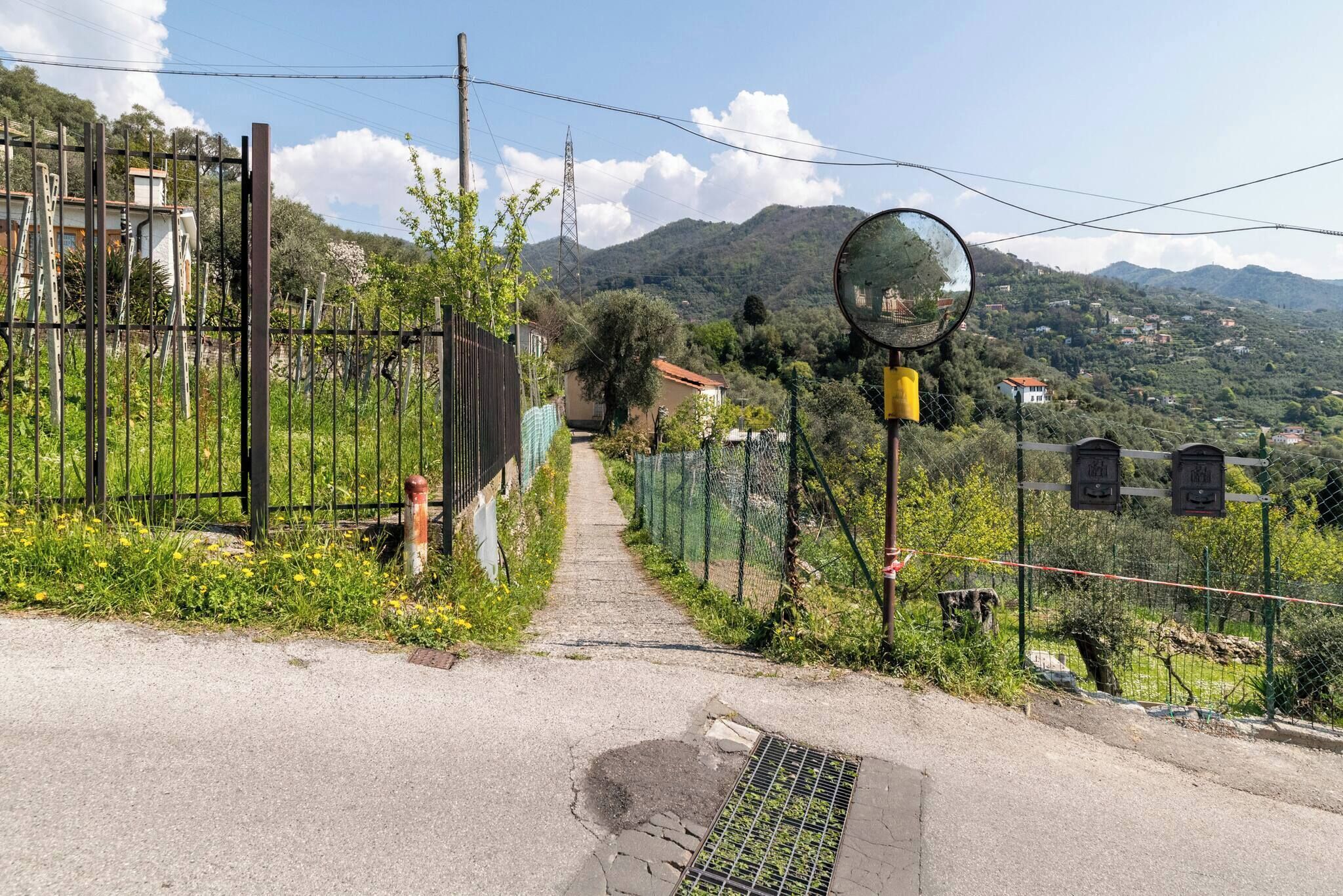 A paved pathway leading to a residential area with houses, a fence, and a mountain backdrop.