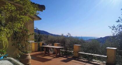 Room-a Yurt Among Olive Trees and the se