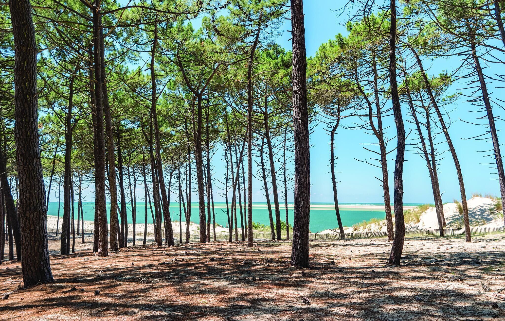Playa