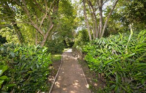 Property grounds - Villa pro. mer grande piscine (Ghisonaccia)