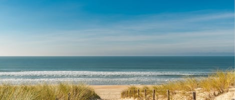 Plage à proximité