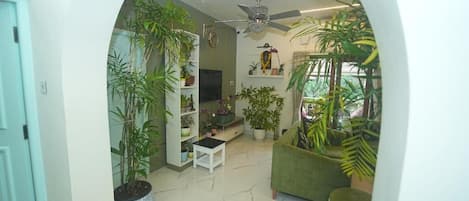 Flat-screen TV