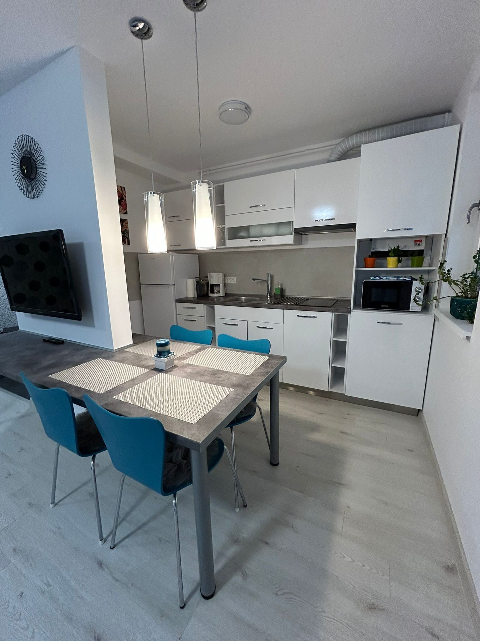 Kühlschrank, Mikrowelle, Herdplatte, Geschirrspüler