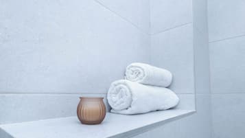 Douche, sèche-cheveux, serviettes fournies, shampoing