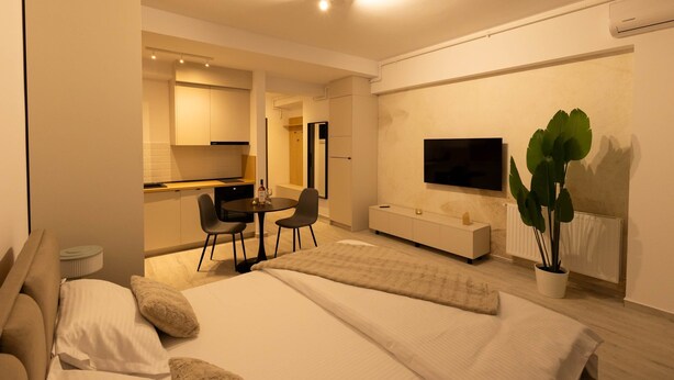 Una habitación de hotel moderna con cama, mesita de noche, televisor, zona de estar y una planta en maceta.