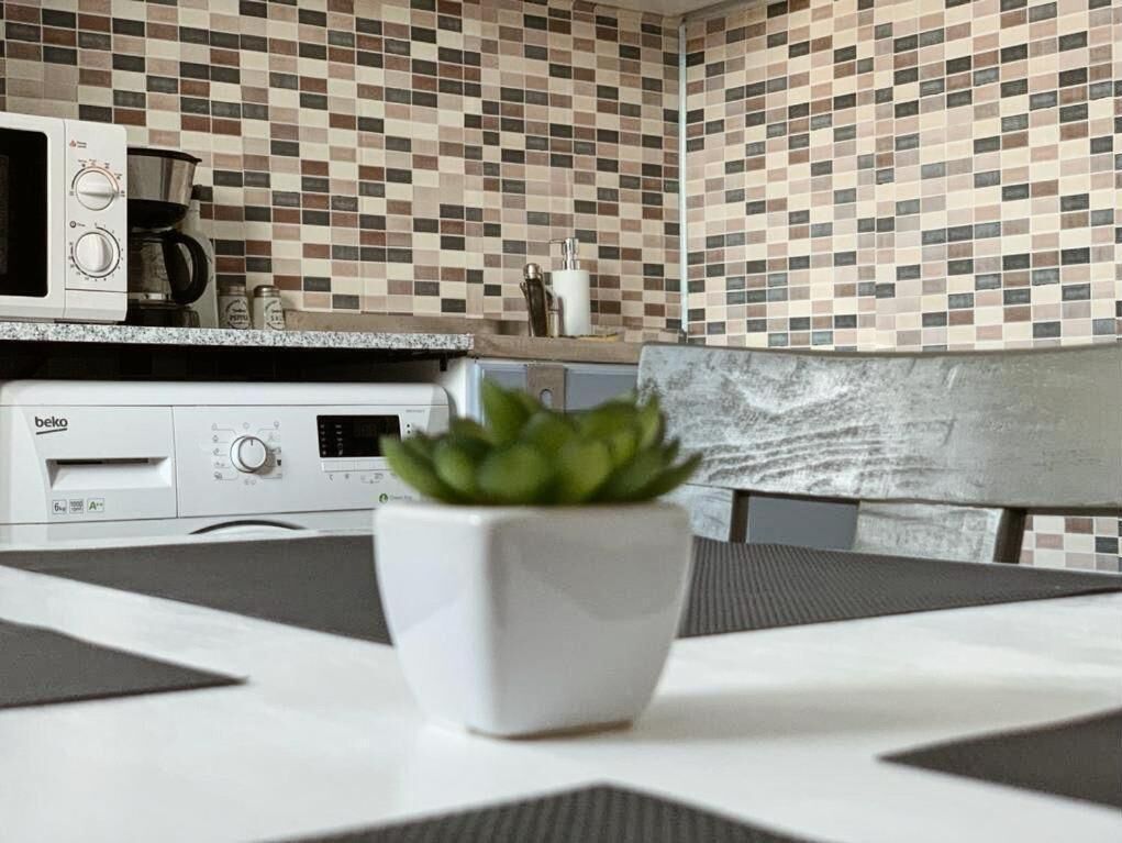 Una cocina con microondas, cafetera y una planta en maceta sobre la encimera.