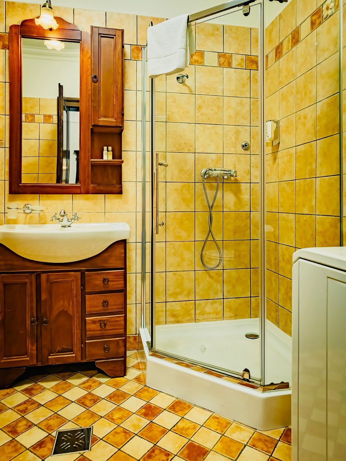 Shower, hair dryer, towels, shampoo