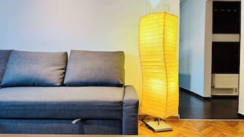 Fernseher, Arbeitsbereiche