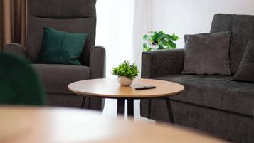 Fernseher, Arbeitsbereiche