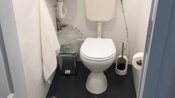 Douche, séchoir à cheveux, serviettes fournies, shampooing