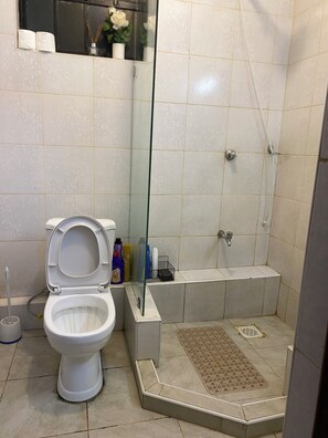 Shower, hair dryer, bidet, towels - Ruaka Karington Studio (Ruaka)