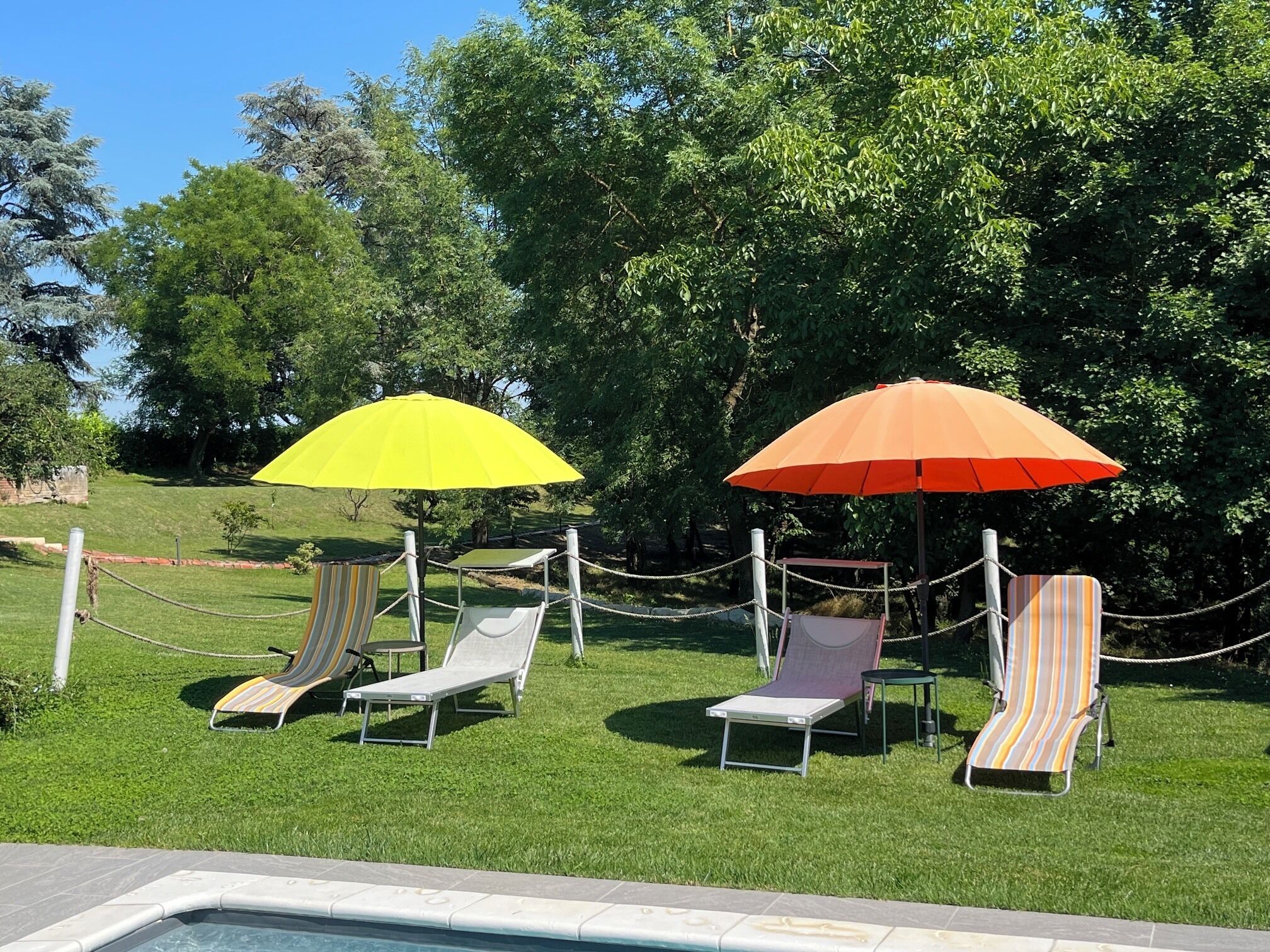 Un área junto a la piscina con sillas de descanso y sombrillas.