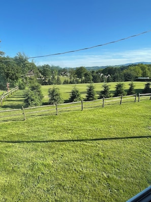 A grassy field with a wooden fence and trees. - Clean&Cozy 3BR Home Home Near UPMC&PSU (Altoona)
