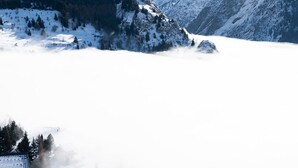 Een bergachtig landschap met besneeuwde toppen en een bebost gebied.