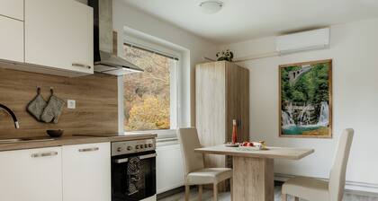 Prečudovit apartma v neposredni bližini Soteske Vintgar in Bled