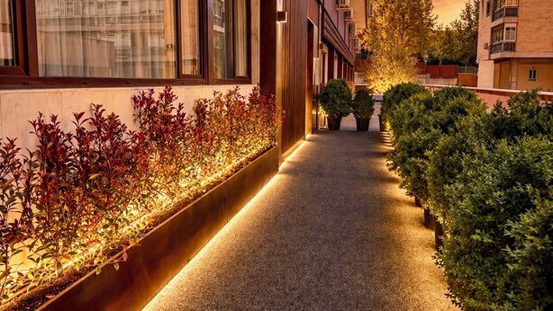 Un pasillo con un edificio moderno a un lado, un sendero y una fila de plantas iluminadas.