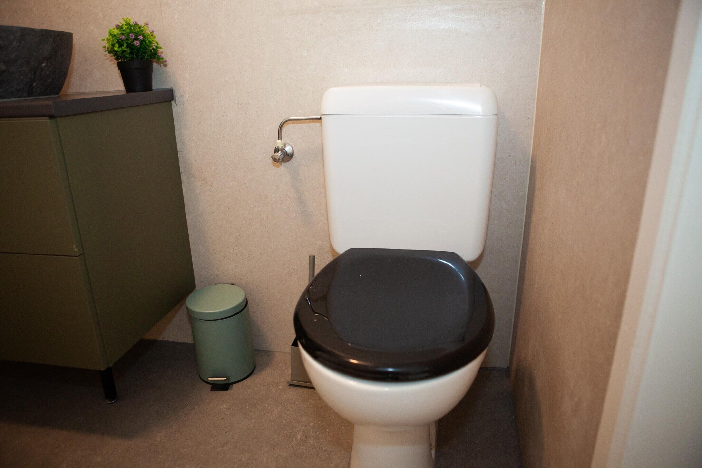 Un inodoro con asiento y tapa negros, un pequeño cubo de basura y una planta en maceta sobre un mueble.