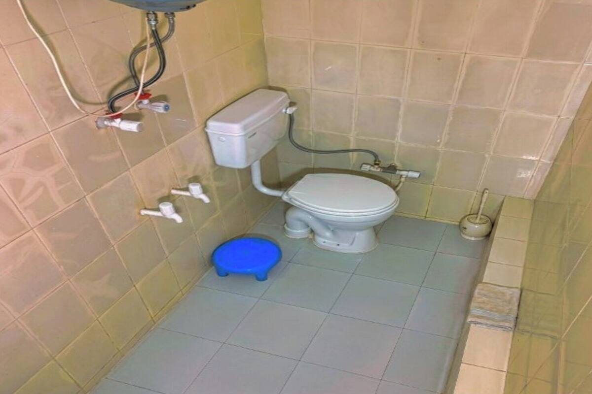 A small bathroom with a toilet, a blue bidet, and a toilet brush.